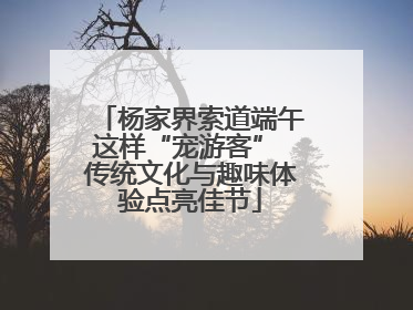 杨家界索道端午这样“宠游客” 传统文化与趣味体验点亮佳节