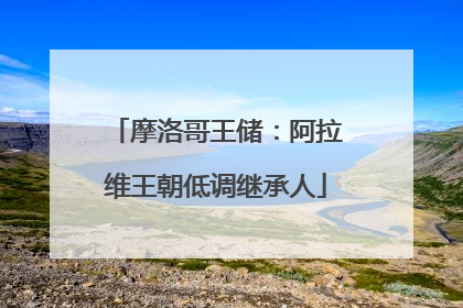 摩洛哥王储：阿拉维王朝低调继承人