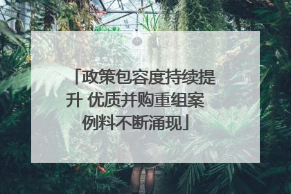 政策包容度持续提升 优质并购重组案例料不断涌现