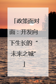 政策面对面：开发向下生长的“未来之城”