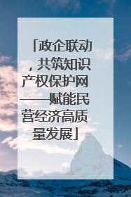 政企联动，共筑知识产权保护网——赋能民营经济高质量发展