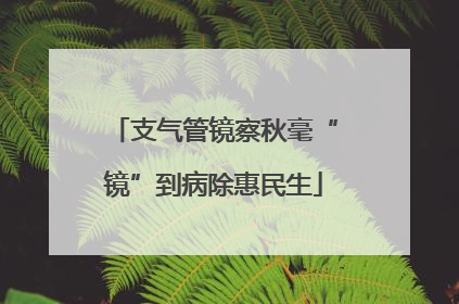 支气管镜察秋毫“镜”到病除惠民生