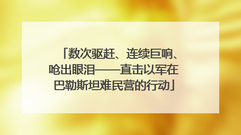 数次驱赶、连续巨响、呛出眼泪——直击以军在巴勒斯坦难民营的行动