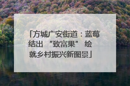 方城广安街道：蓝莓结出 “致富果” 绘就乡村振兴新图景