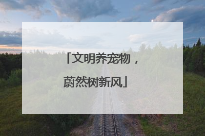文明养宠物，蔚然树新风