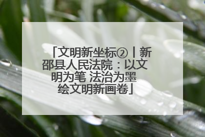 文明新坐标②丨新邵县人民法院：以文明为笔 法治为墨 绘文明新画卷
