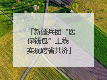 新疆兵团“医保钱包”上线 实现跨省共济