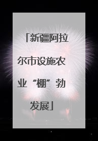 新疆阿拉尔市设施农业“棚”勃发展