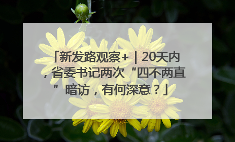 新发路观察+｜20天内，省委书记两次“四不两直”暗访，有何深意？