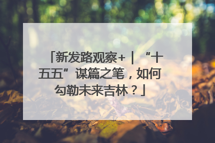 新发路观察+｜“十五五”谋篇之笔，如何勾勒未来吉林？