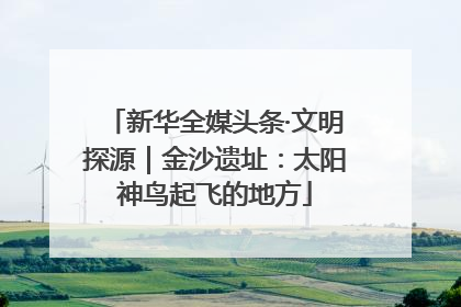 新华全媒头条·文明探源｜金沙遗址：太阳神鸟起飞的地方