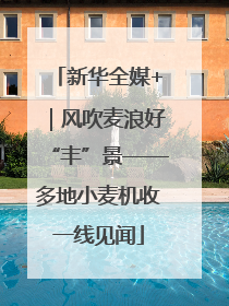新华全媒+｜风吹麦浪好“丰”景——多地小麦机收一线见闻