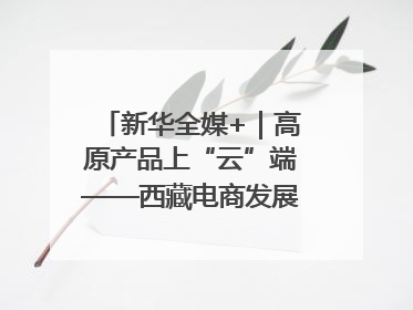新华全媒+｜高原产品上“云”端——西藏电商发展一线观察