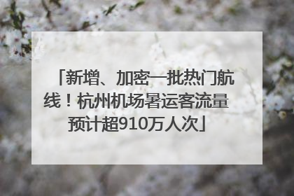 新增、加密一批热门航线！杭州机场暑运客流量预计超910万人次
