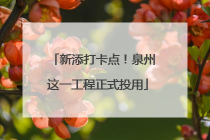新添打卡点！泉州这一工程正式投用