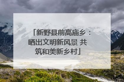 新野县前高庙乡：晒出文明新风景 共筑和美新乡村