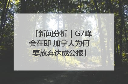 新闻分析｜G7峰会在即 加拿大为何要放弃达成公报