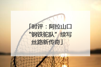 时评：阿拉山口“钢铁驼队”续写丝路新传奇