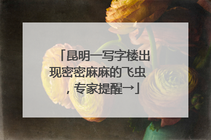 昆明一写字楼出现密密麻麻的飞虫，专家提醒→