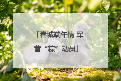 春城端午情 军营“粽”动员
