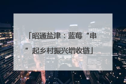 昭通盐津：蓝莓“串”起乡村振兴增收链