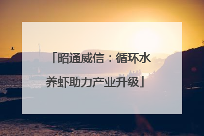 昭通威信：循环水养虾助力产业升级