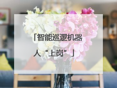 智能巡逻机器人“上岗”