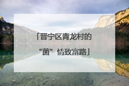 晋宁区青龙村的“菌”情致富路