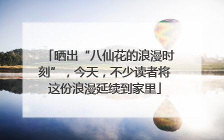 晒出“八仙花的浪漫时刻”，今天，不少读者将这份浪漫延续到家里