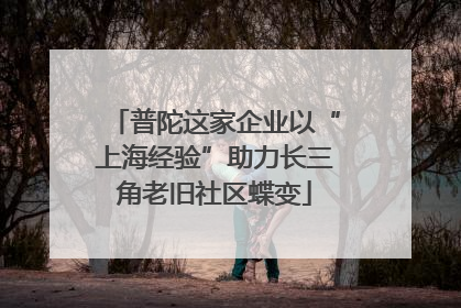 普陀这家企业以“上海经验”助力长三角老旧社区蝶变