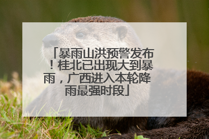 暴雨山洪预警发布！桂北已出现大到暴雨，广西进入本轮降雨最强时段