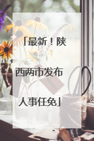 最新！陕西两市发布人事任免