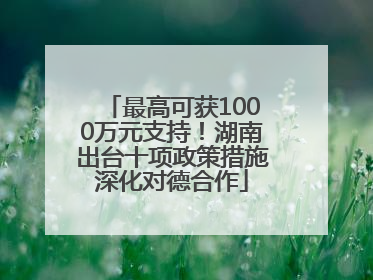 最高可获1000万元支持！湖南出台十项政策措施深化对德合作