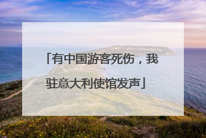 有中国游客死伤，我驻意大利使馆发声