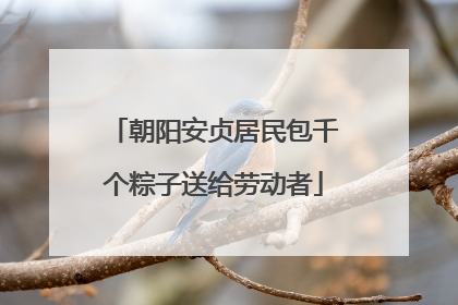 朝阳安贞居民包千个粽子送给劳动者