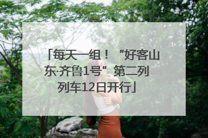 每天一组！“好客山东·齐鲁1号”第二列列车12日开行