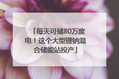 每天可储80万度电！这个大型锂钠混合储能站投产