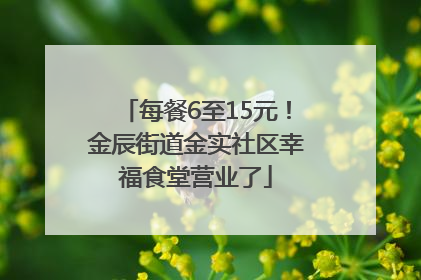每餐6至15元！金辰街道金实社区幸福食堂营业了