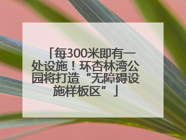 每300米即有一处设施！环杏林湾公园将打造“无障碍设施样板区”
