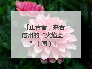 正青春，来看信州的“火焰蓝”（图）