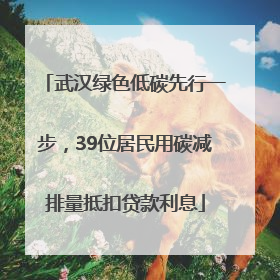 武汉绿色低碳先行一步，39位居民用碳减排量抵扣贷款利息