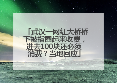 武汉一网红大桥桥下被指圈起来收费，进去100块还必须消费？当地回应
