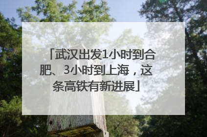 武汉出发1小时到合肥、3小时到上海，这条高铁有新进展