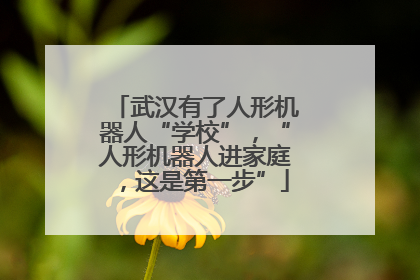 武汉有了人形机器人“学校”，“人形机器人进家庭，这是第一步”