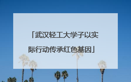 武汉轻工大学子以实际行动传承红色基因