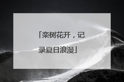栾树花开，记录夏日浪漫