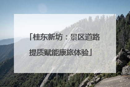 桂东新坊：景区道路提质赋能康旅体验