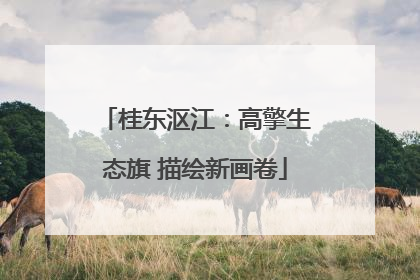桂东沤江：高擎生态旗 描绘新画卷