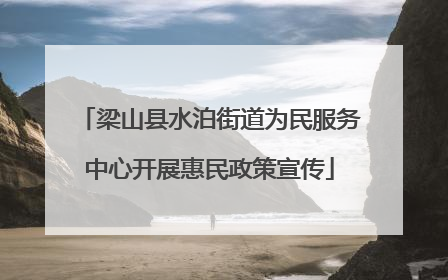 梁山县水泊街道为民服务中心开展惠民政策宣传