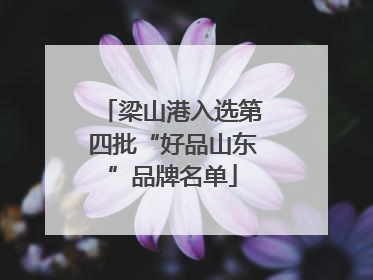 梁山港入选第四批“好品山东”品牌名单
